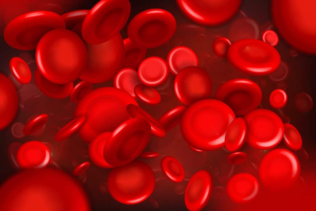 red blood cells