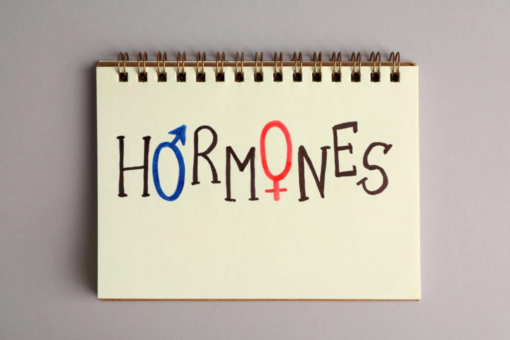Notebook displaying the word "HORMONES" with the letters "O" and "O" creatively illustrated using male (blue) and female (red) gender symbols.